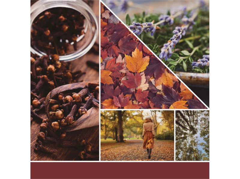 41182_AUTUMN DAYDREAM_1